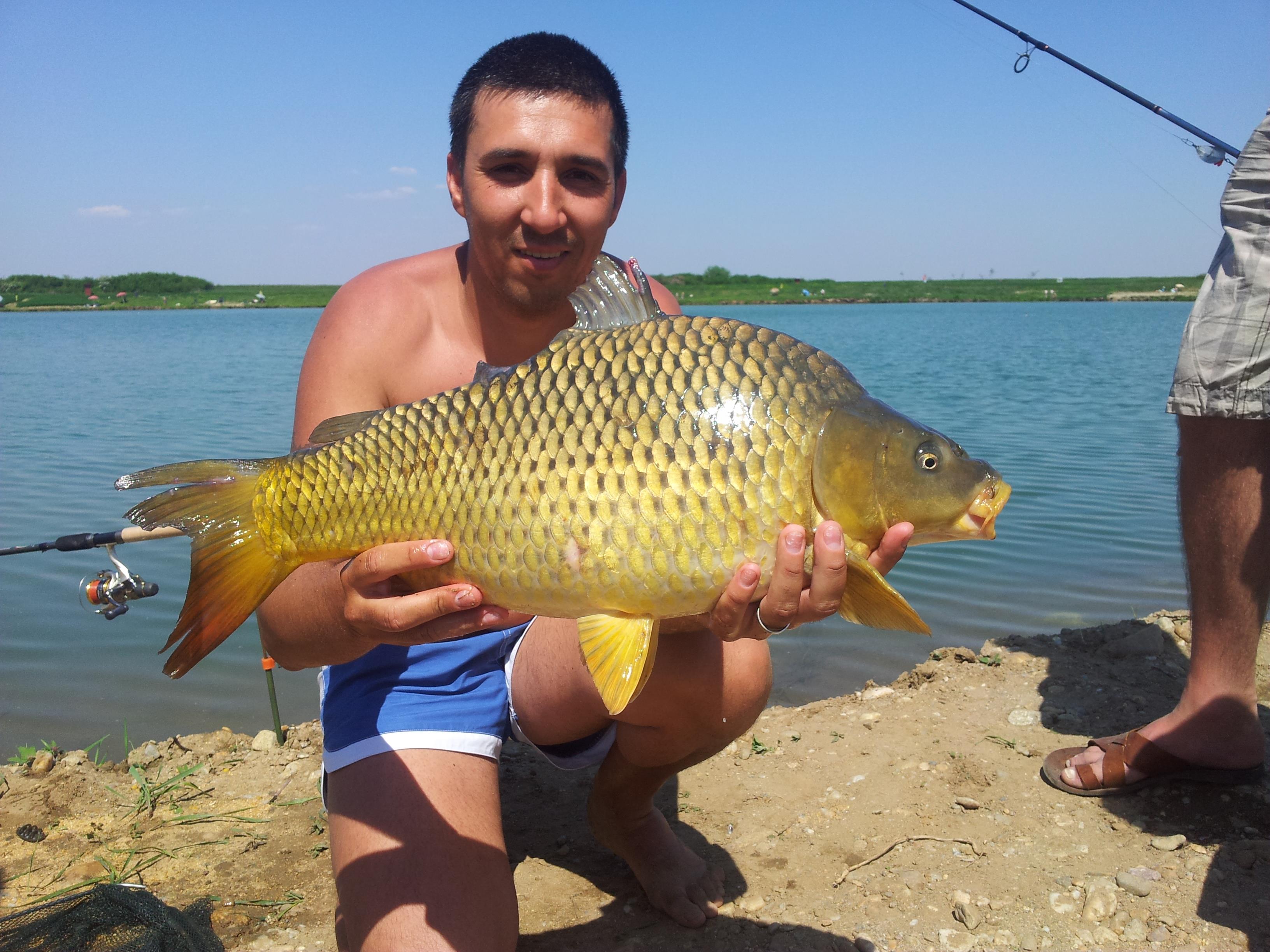 Giris de cris 9 - 9 aug. - 2012-05-01 14.08.05.jpg